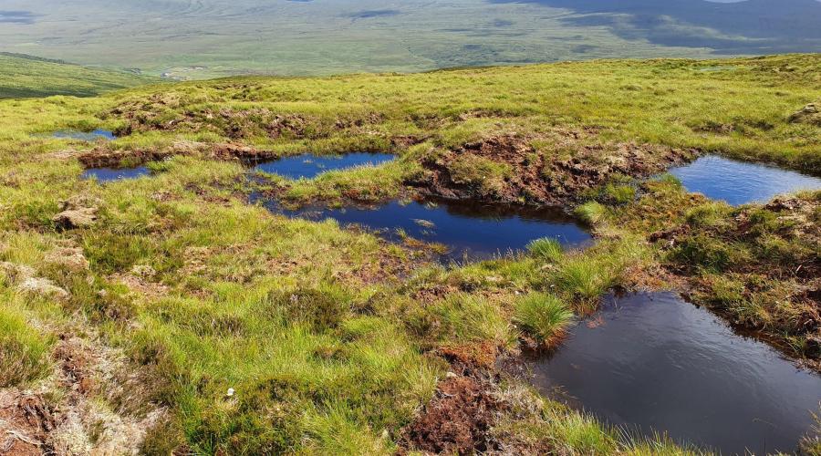 Lochrosque view (A3943954) landscape orintation